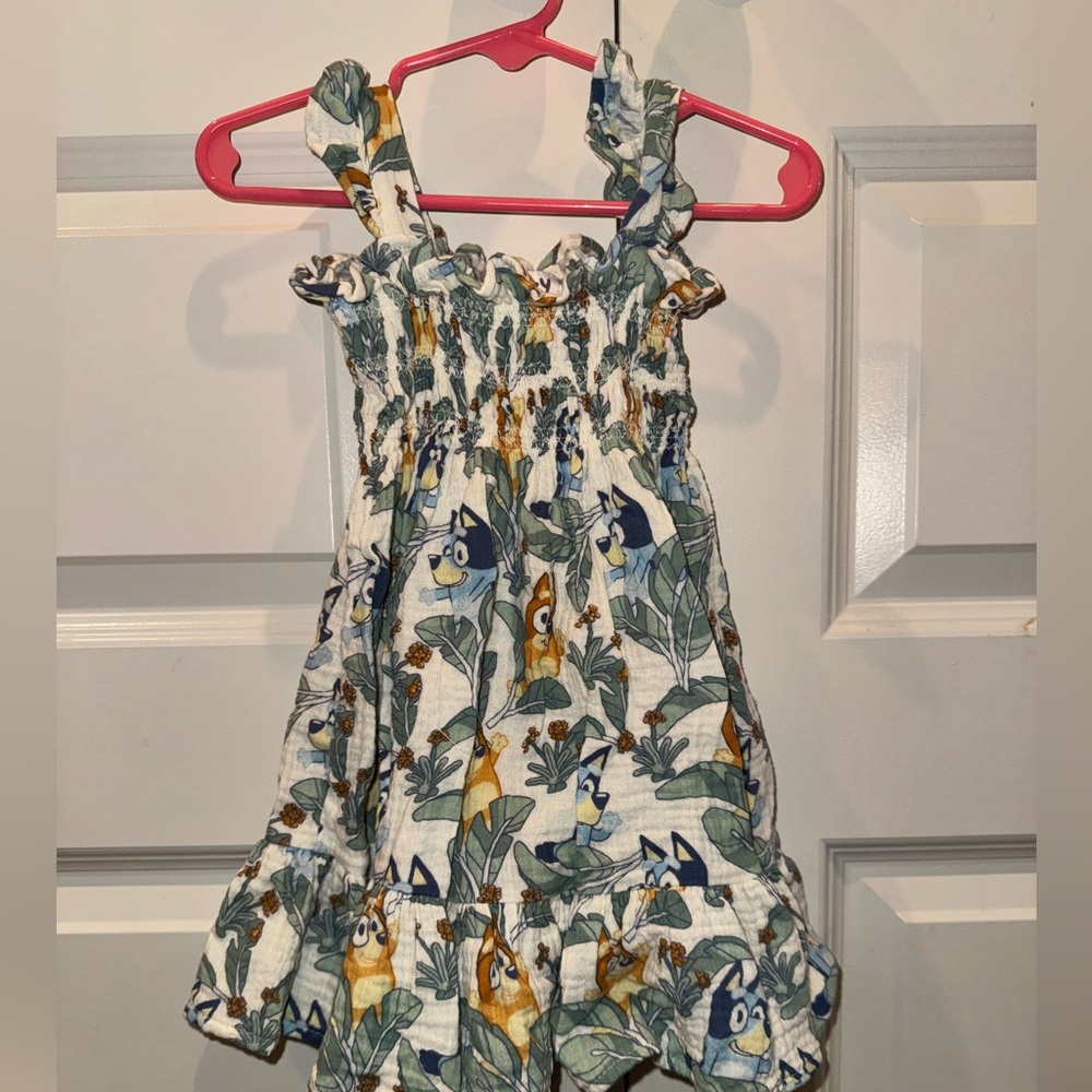 Bluey Dress - 12 Months